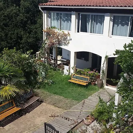 Le Gite Radica Eccica-Suarella  Exterior foto